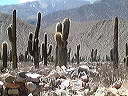 dscf0488