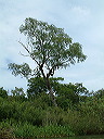 dscf0576