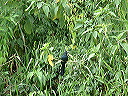 dscf0578