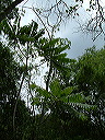 dscf0579