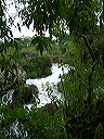 dscf0623