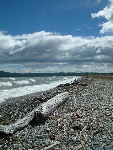 dscf0104.jpg