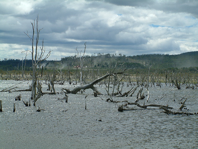 dscf0108.jpg