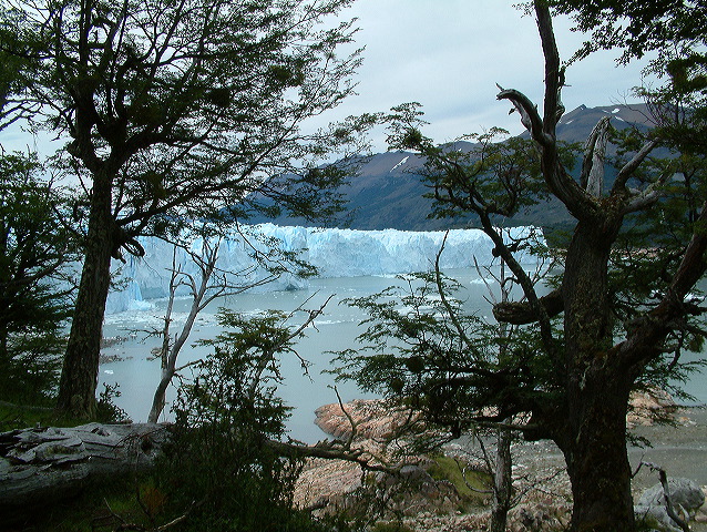 dscf0317.jpg