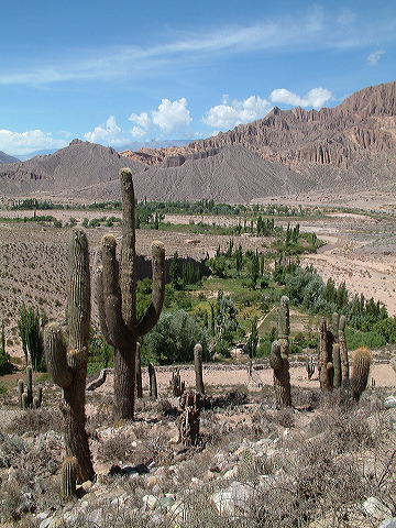 dscf0480.jpg