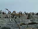 dscf0041