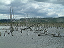 dscf0108