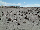 dscf0407