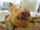 dsc00201