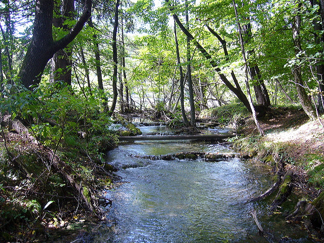 p1020419.jpg