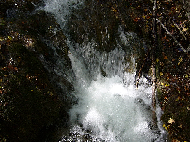 p1020420.jpg
