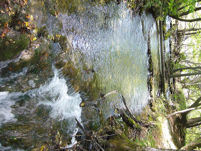 p1020421.jpg