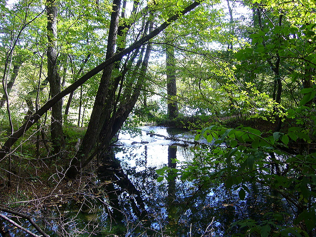 p1020422.jpg