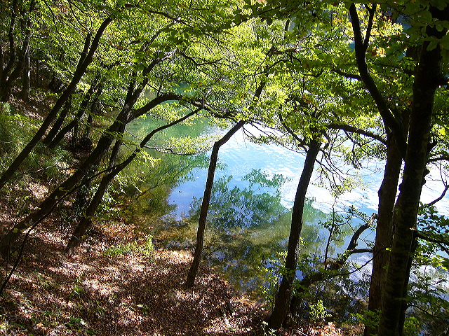 p1020423.jpg