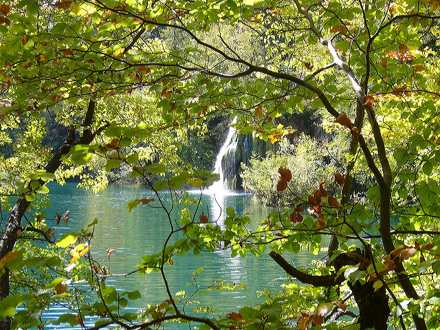 p1020425.jpg