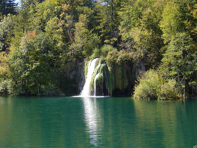 p1020426.jpg