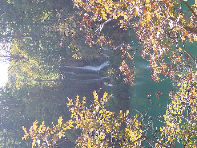 p1020428.jpg