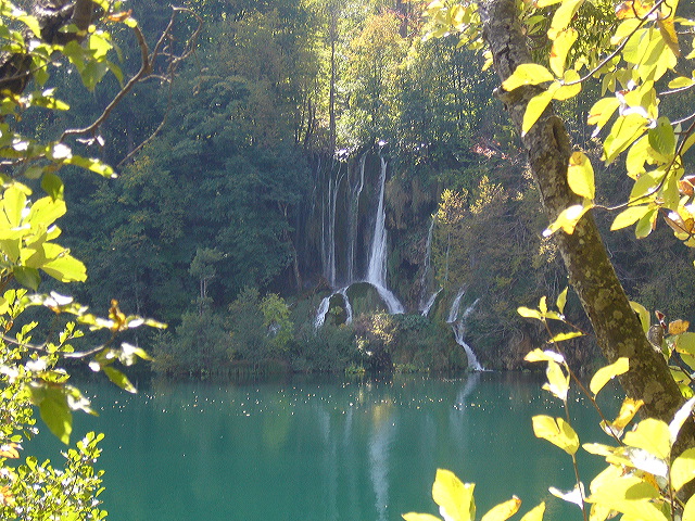 p1020429.jpg