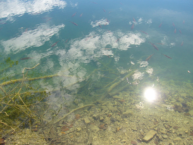 p1020433.jpg
