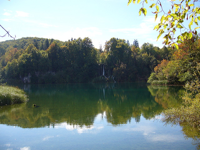 p1020434.jpg