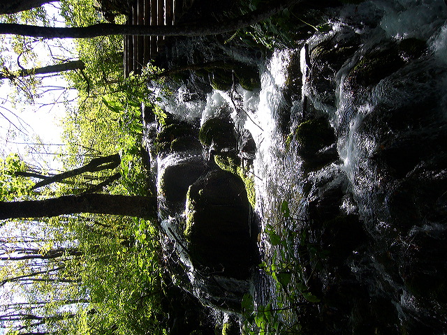 p1020436.jpg