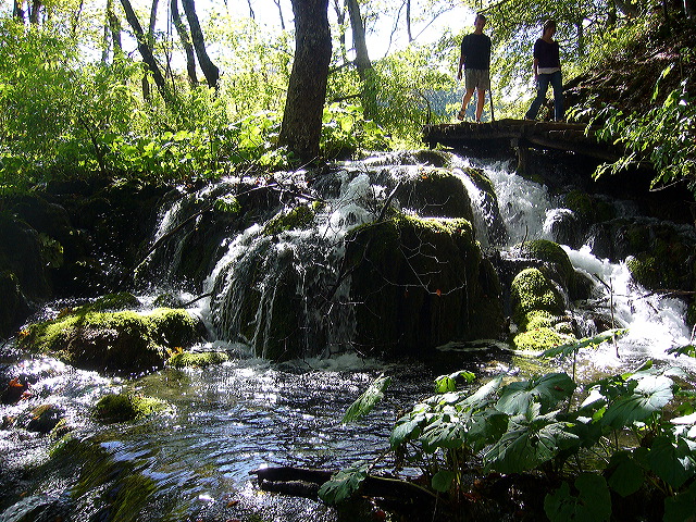 p1020437.jpg