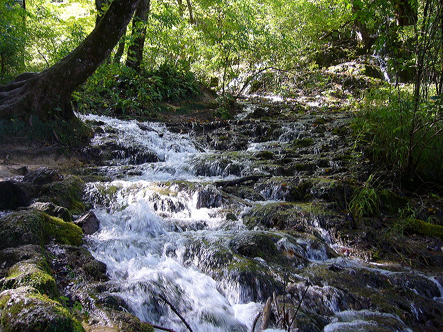 p1020439.jpg