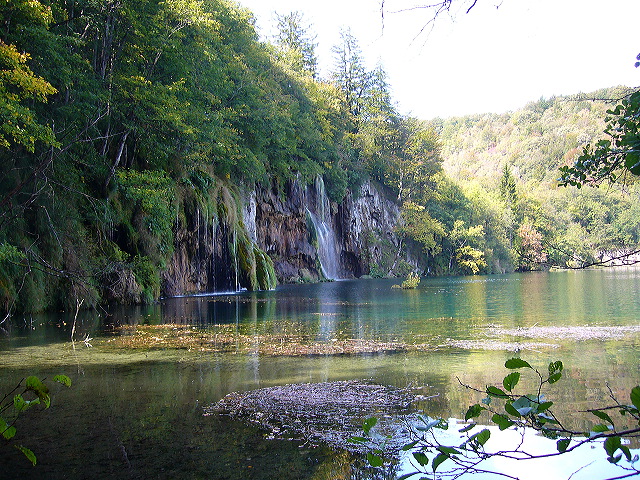p1020444.jpg