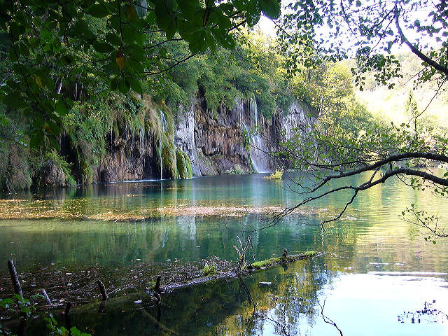 p1020445.jpg
