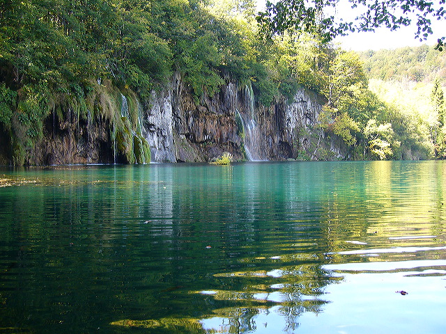 p1020446.jpg