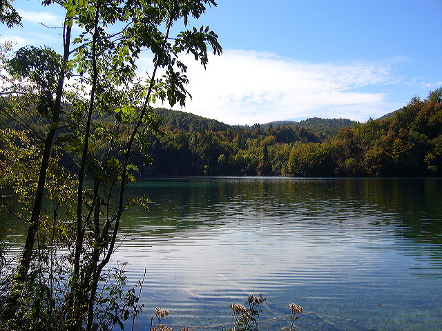 p1020448.jpg