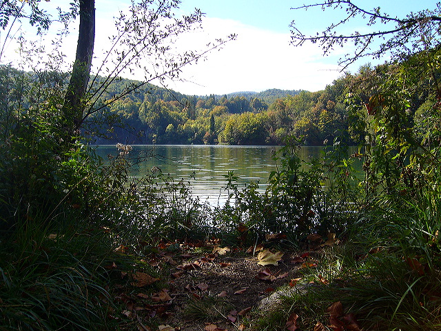 p1020449.jpg