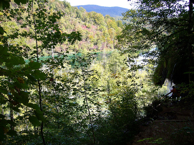 p1020450.jpg