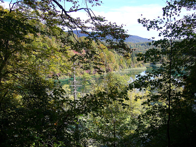 p1020451.jpg