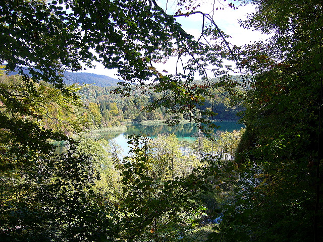 p1020452.jpg