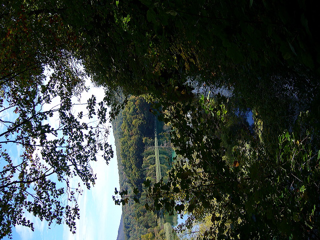 p1020453.jpg