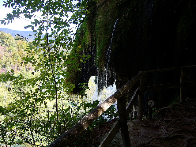 p1020454.jpg