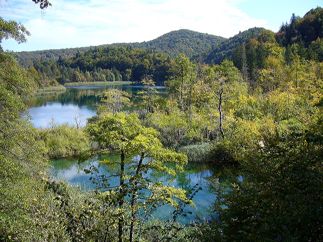 p1020455.jpg