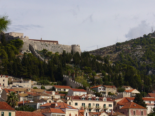 p1020628.jpg