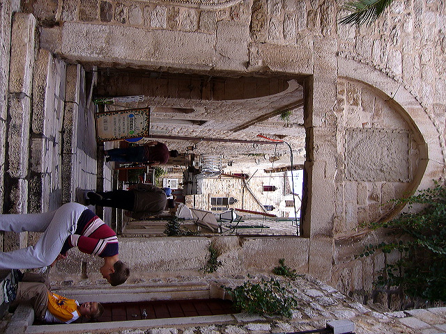 p1020633.jpg