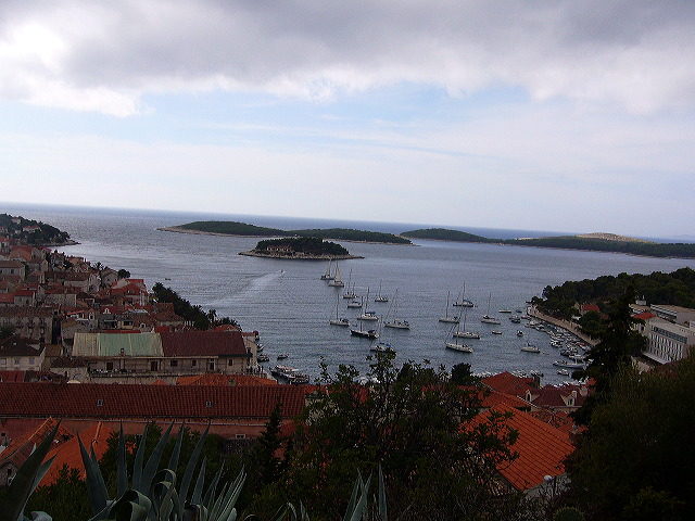 p1020636.jpg