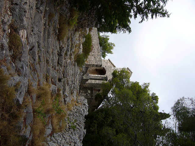 p1020637.jpg