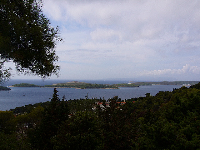 p1020638.jpg