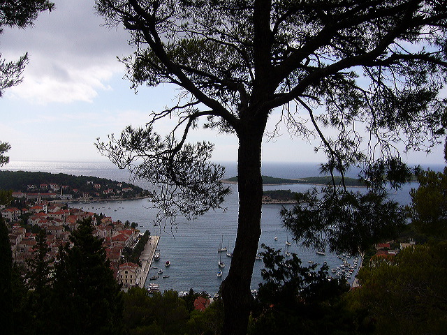 p1020639.jpg