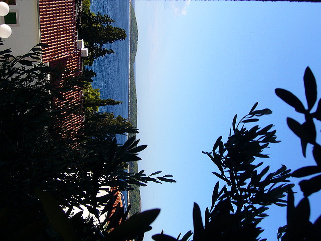 p1020682.jpg