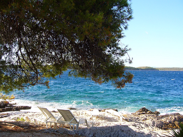 p1020683.jpg