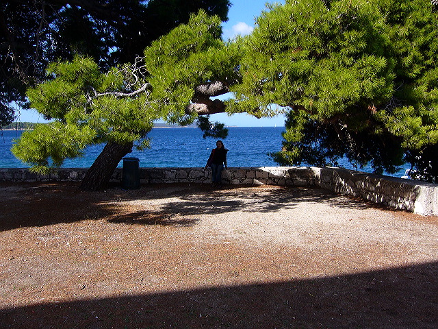 p1020689.jpg