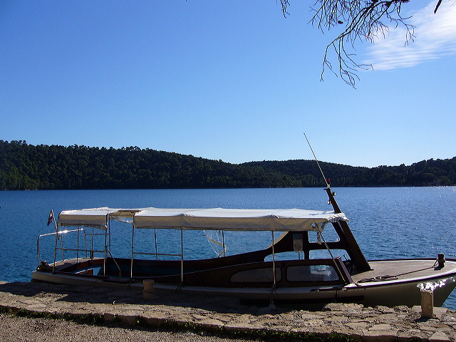 p1020787.jpg