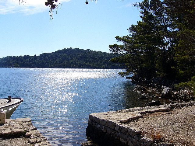 p1020788.jpg
