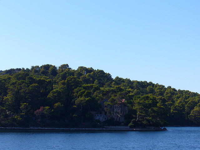 p1020790.jpg